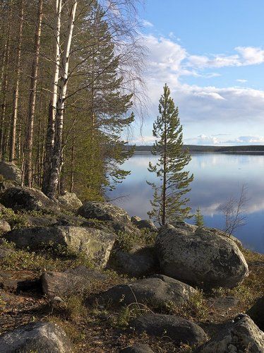 Весна на Пинозере...Май.