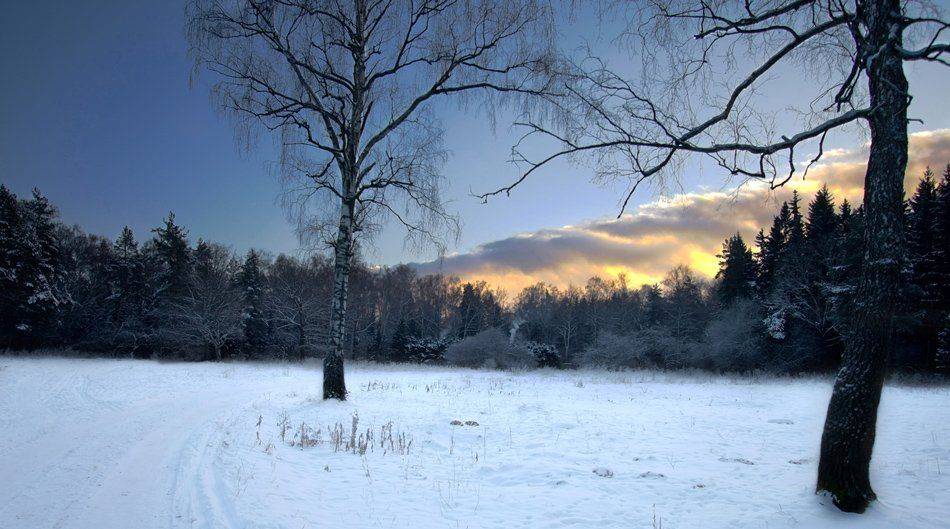 зима, закат, лес, парк, береза, Александр Мартынов