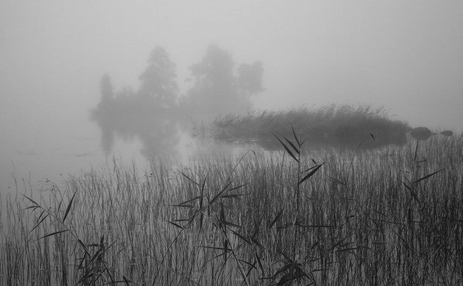 , Viktor Kalechenkov