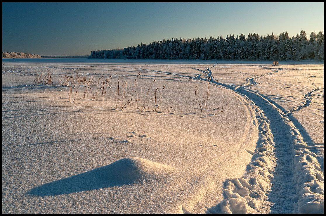 , Лунный Ежик