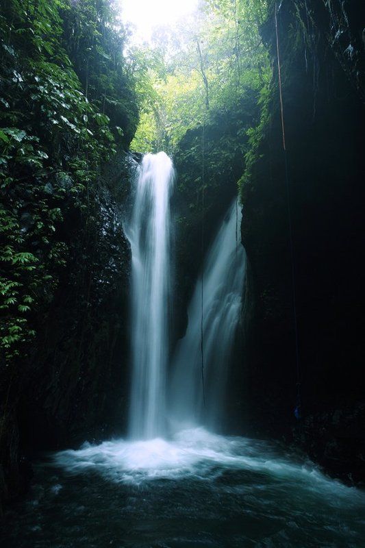 Азиатский Мотив фото превью