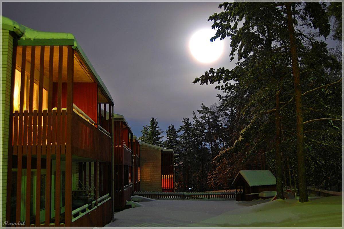 швеция,скандинавия,зима,снег,пейзаж, Елена