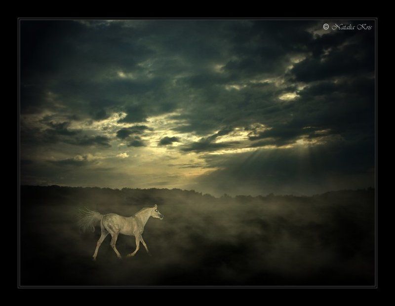 Во власти тумана фото превью