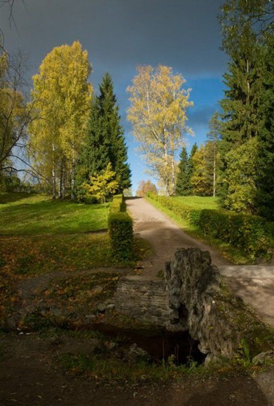 осеннее фото превью