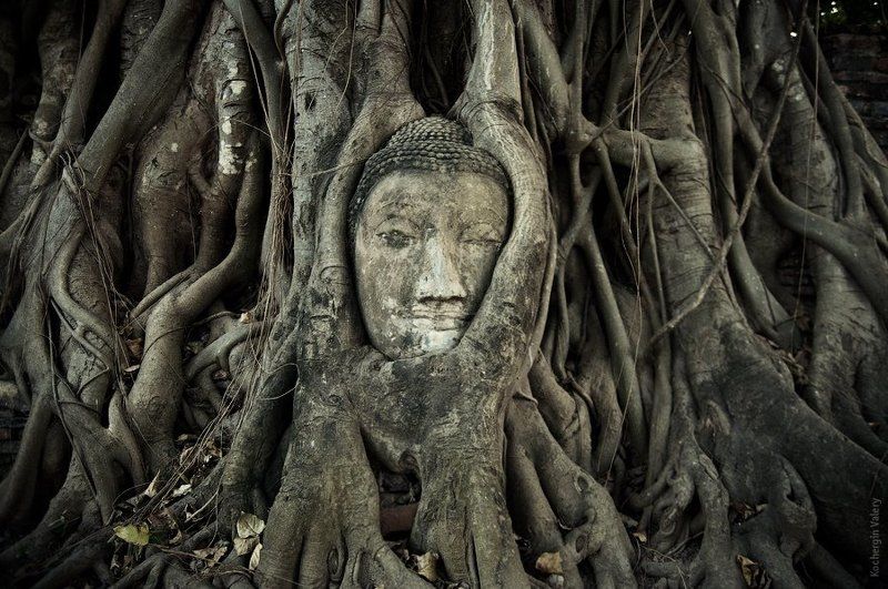 Тайланд 2010 фото превью