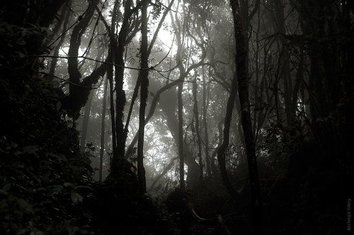 Малайзия 2010