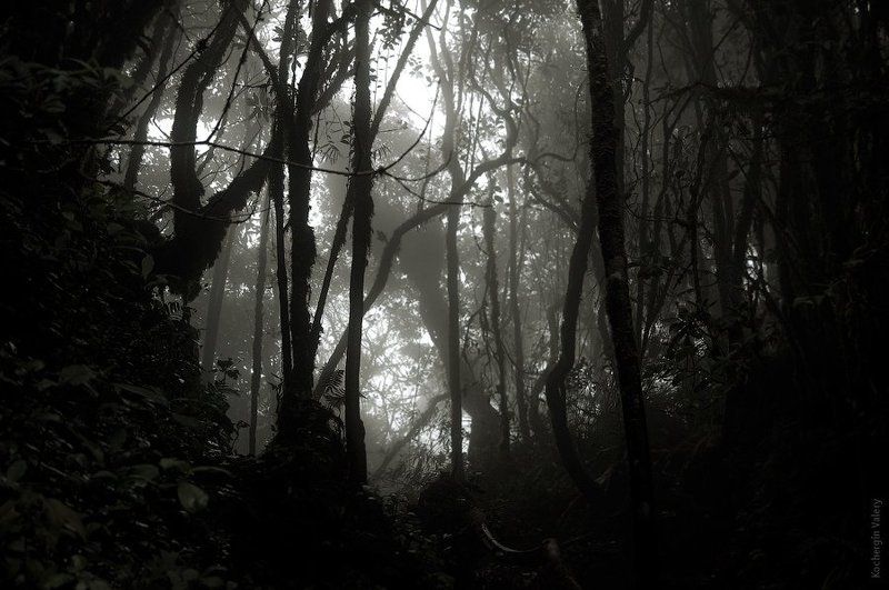 юва, малайзия Малайзия 2010 фото превью