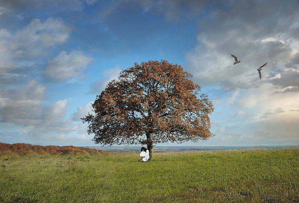 , Владимир Точаненко