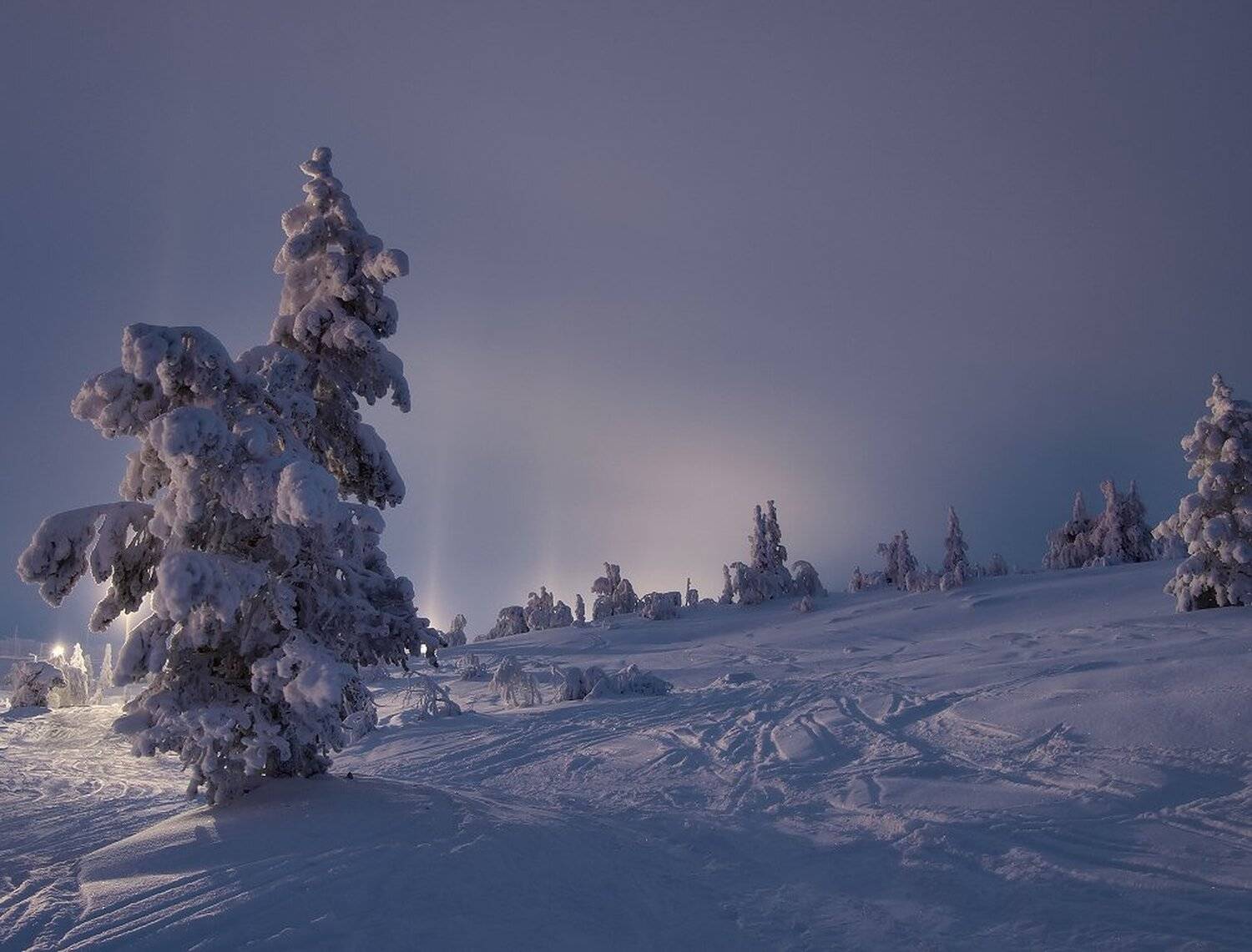 , Максим Евдокимов