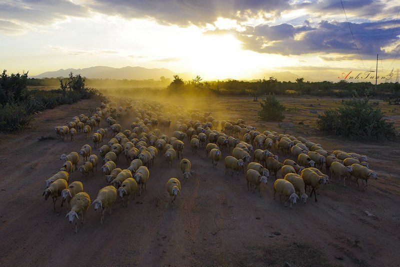 The Silence of the Lambs фото превью