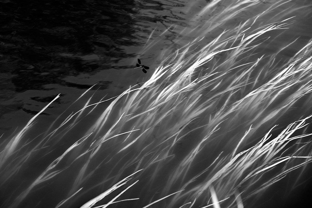 , Наиля Гарифуллина