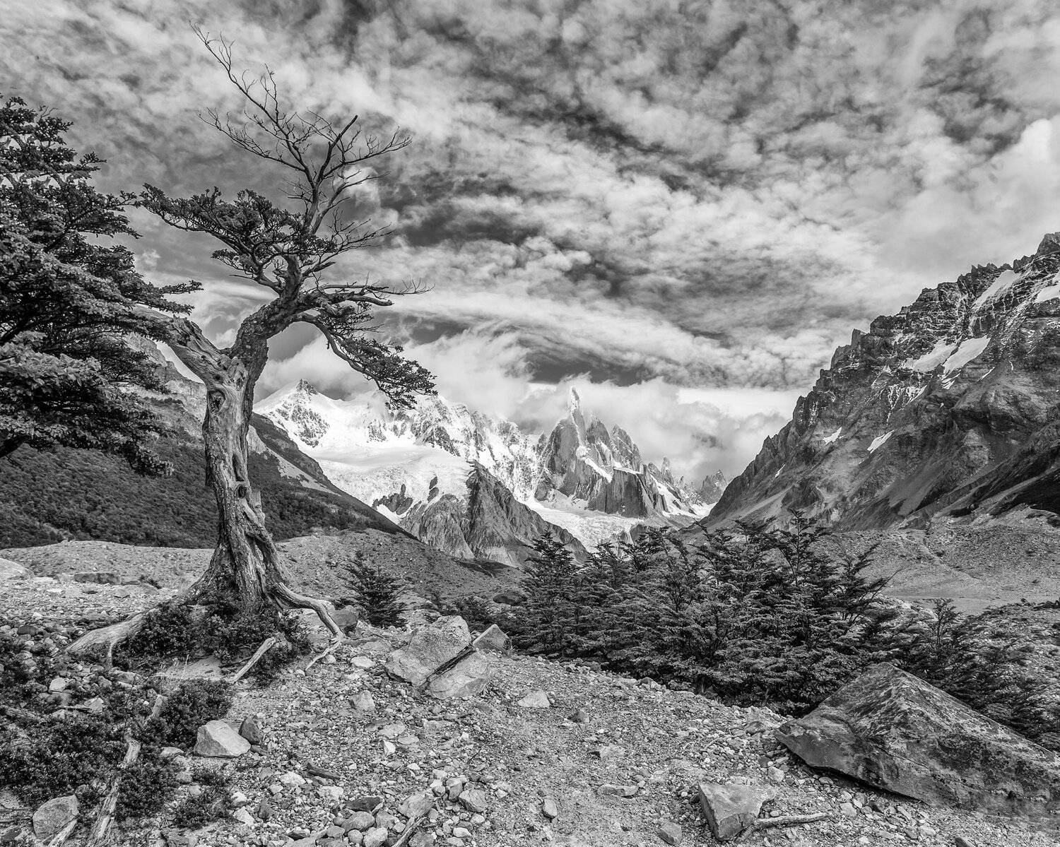 , Виктор Белименко