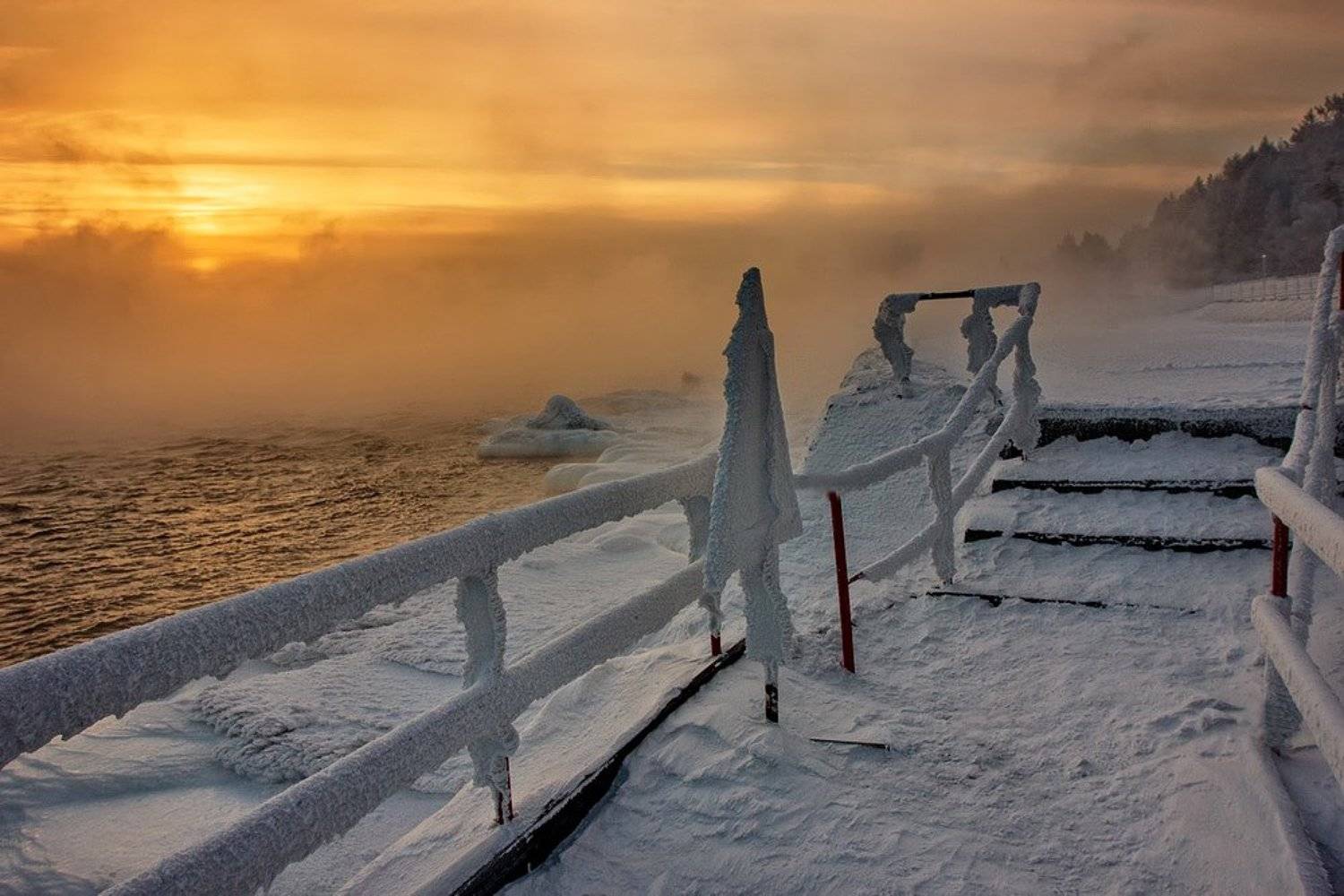 , Матвей Белый