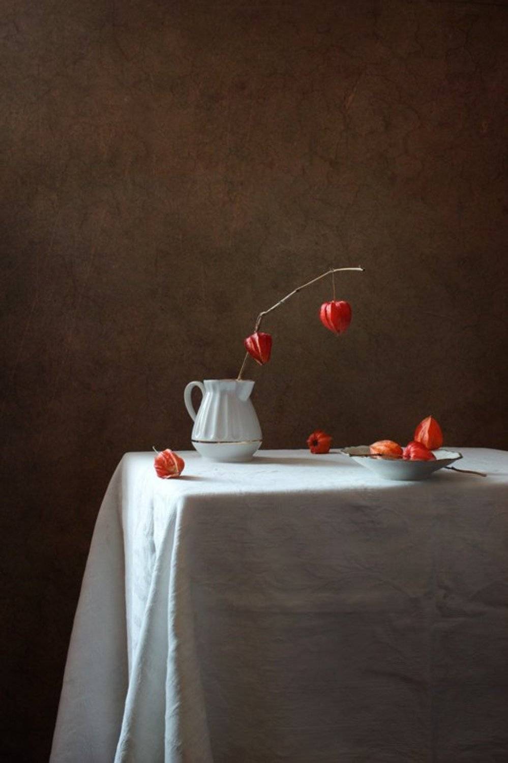 Натюрморт, Физалис, Курочкина Диана