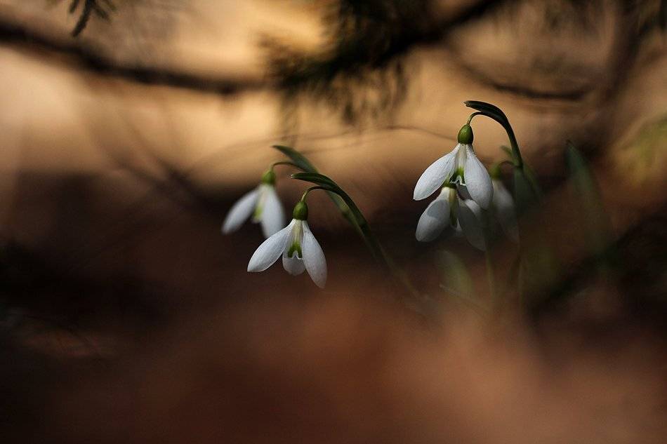 , Иваненко Светлана