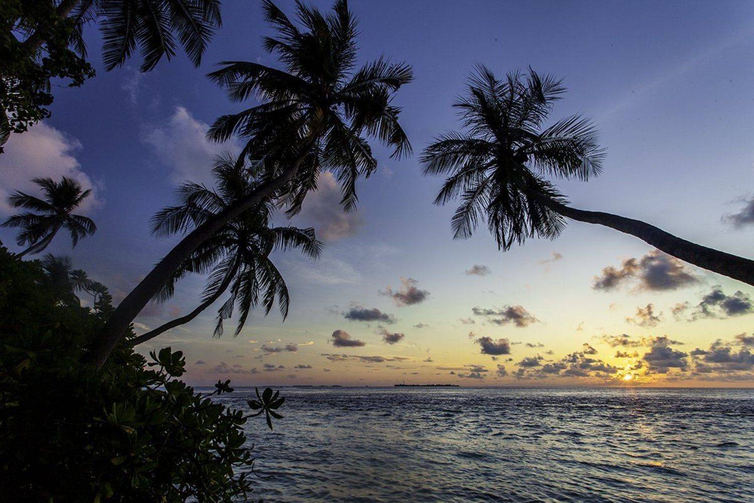 Закат, Индийский океан, Мальдивы, Пальмы, Цейлон, Шри-ланка, Андрей