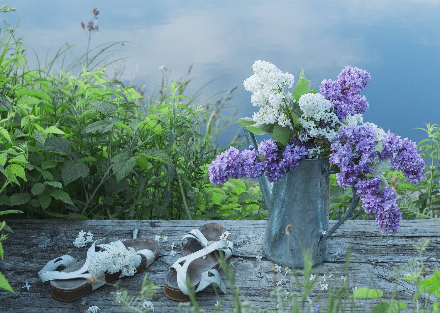 Белый, Вода, Дача, Деревянный, Кувшин, Лето, Мостик, Небо, Облака, Озеро, Отражение, Сандалии, Сиреневый, Сирень, Трава, Утро, Наталья Бочкарева