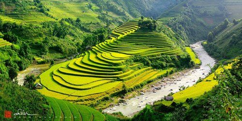 Mu Cang Chai