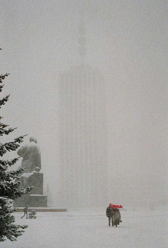 Под снегом фото превью