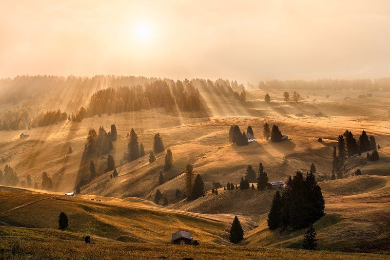 Dolomites, Italy, Alps, autumn, autumn landscape, beautiful place, travel, rays, meadows, sun, sunrise, tree, fog, mist, Alpe di Siusi Dolomites фото превью
