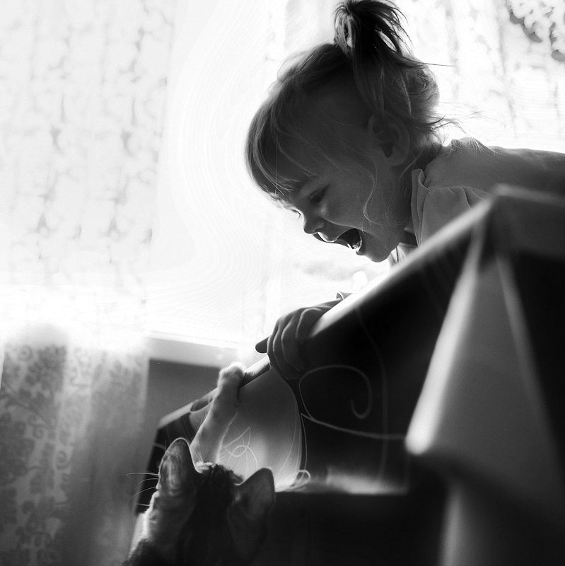 кошка, ребенок,дети, детская фотография  фото превью