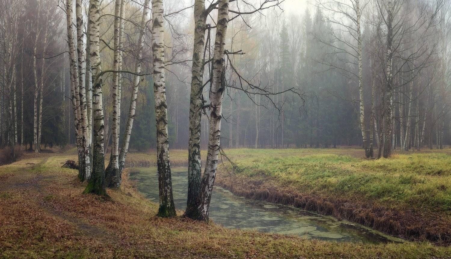 Осень, Павловск, Павловский парк, Пейзаж, Питер, Таня SHE (Aiya)