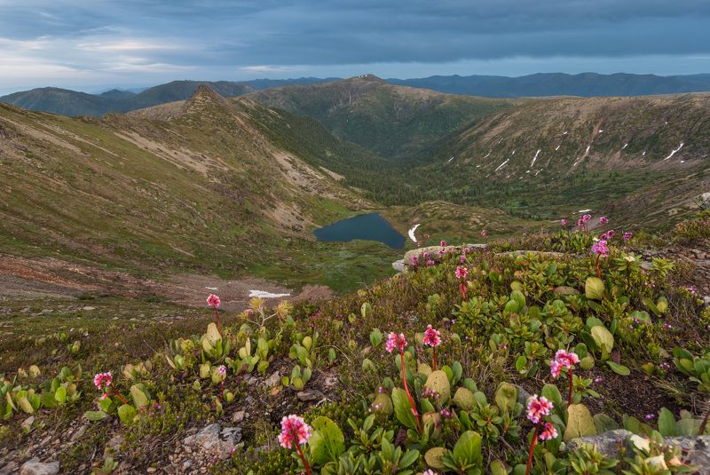 Походные зарисовки фото превью