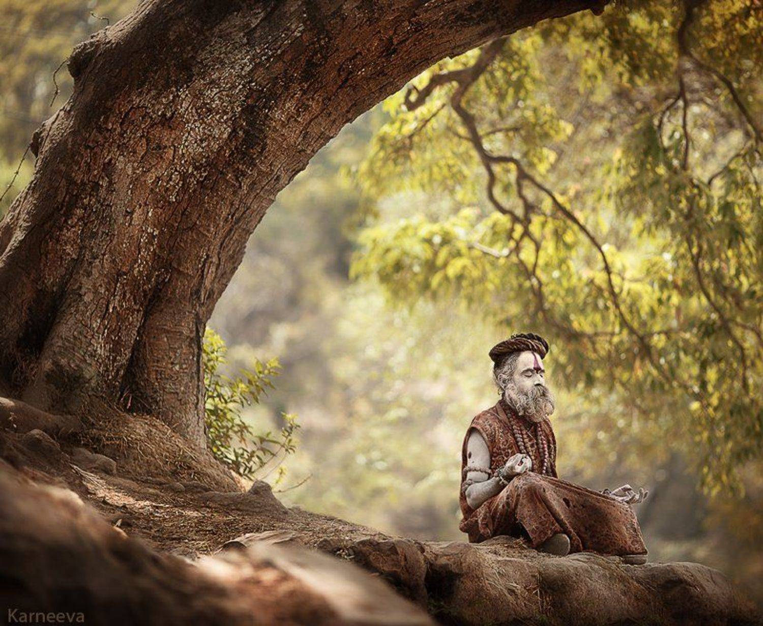 , Карнеева Елена