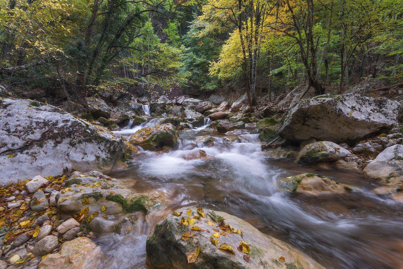 Вода, Лес, Листья, Осень, Пейзаж, Природа, Ручей, Dmitriy  Baginskiy