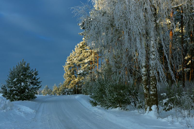 * * * фото превью