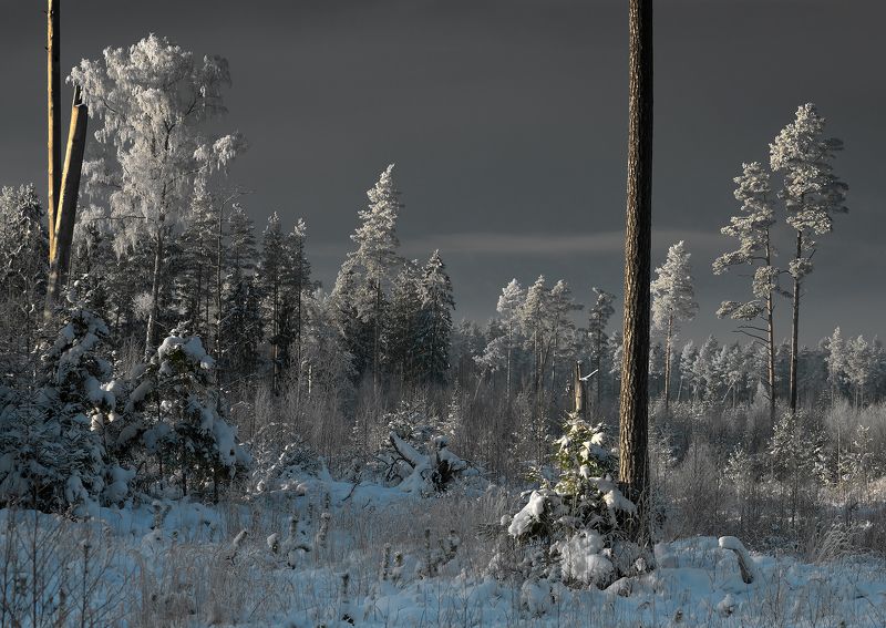 * * * фото превью