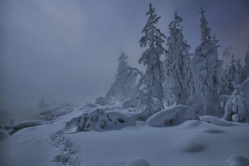 ...в Лунном сиянии фото превью