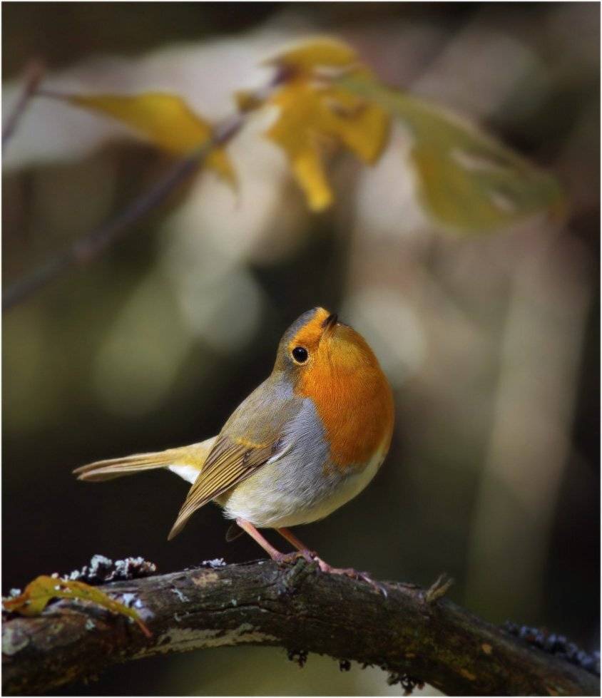 , Юрий Андреев