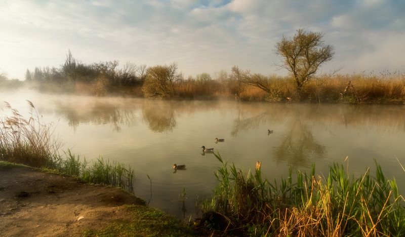 Утро и все такое фото превью