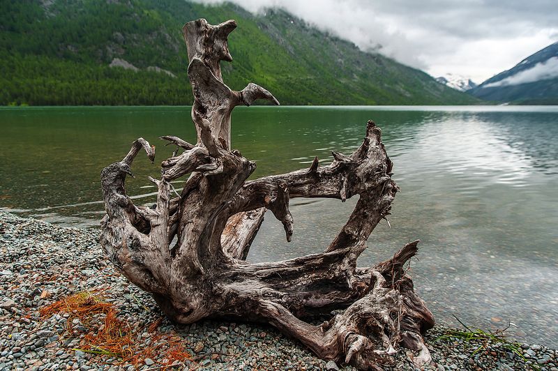 ****** фото превью