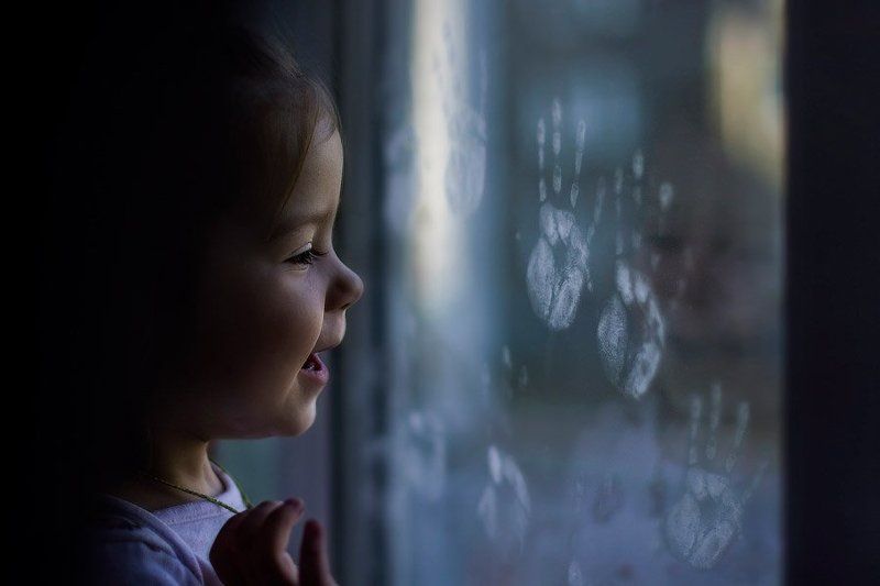 Ладошки фото превью