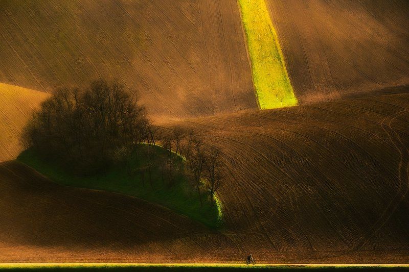 Cycling through fields... фото превью