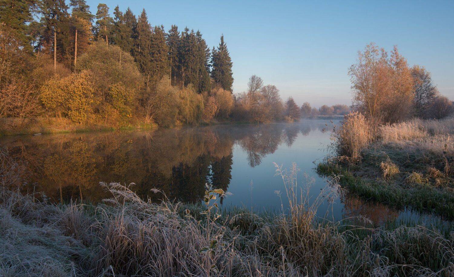 , Николай Шахманцир