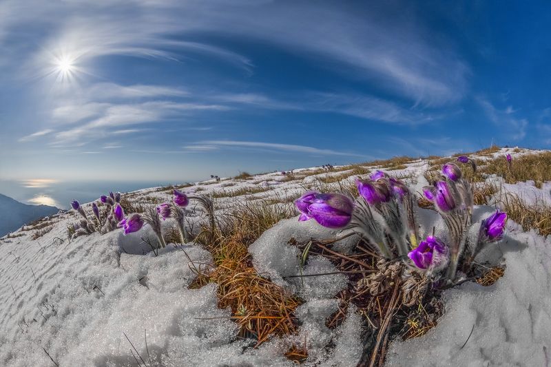 Крым Под южным солнцем. фото превью