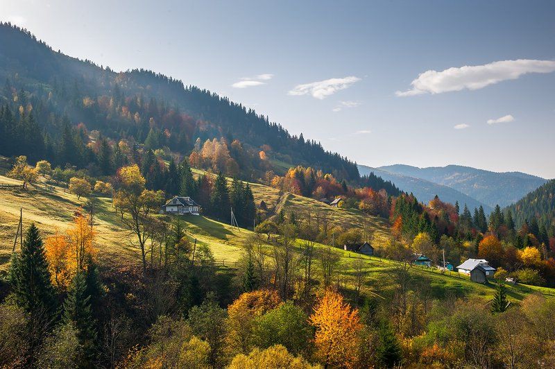 *** фото превью