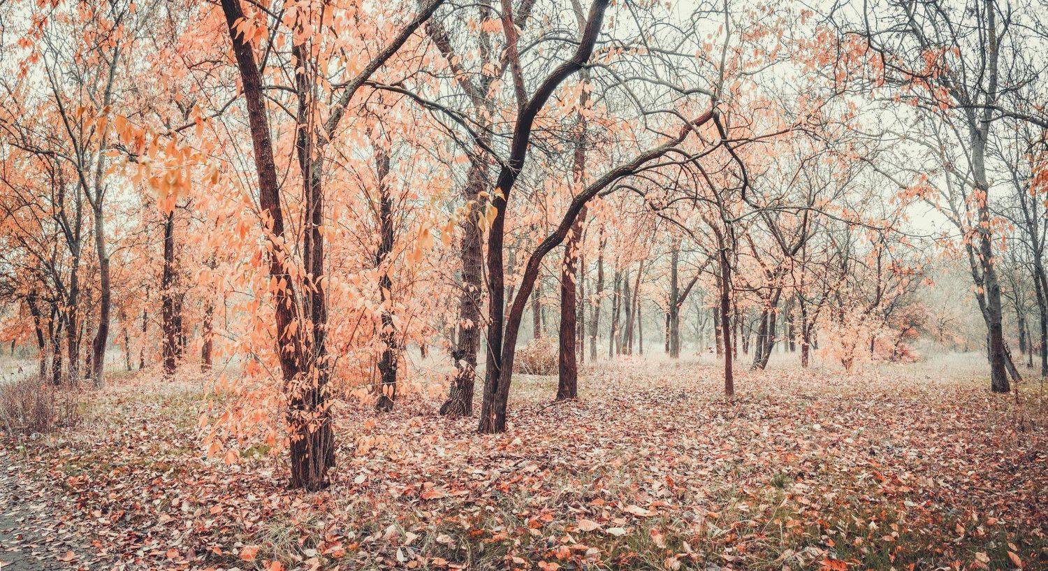 , Анатолий Щербак