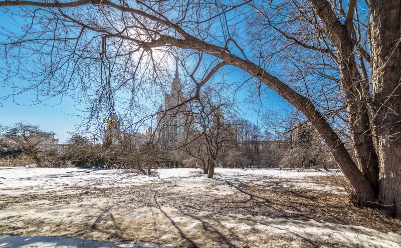 мгу Весенний солнечный денек фото превью