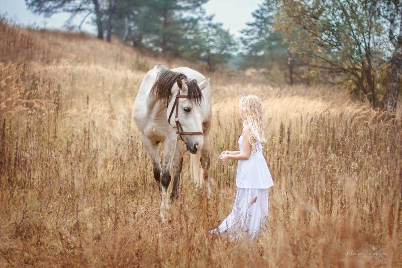 лошадь девочка поле --- фото превью