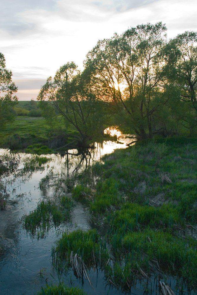 река, брынь, гольча, закат, солнце в реке, Александр