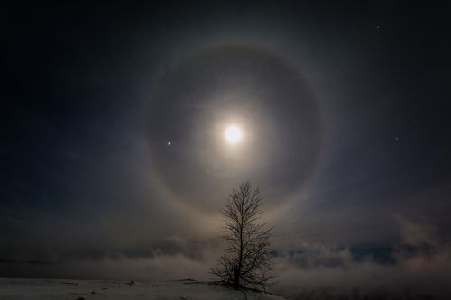 ГАЛО в сиянии