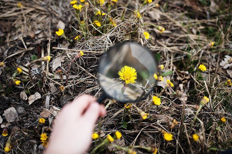 Пробуждение фото превью