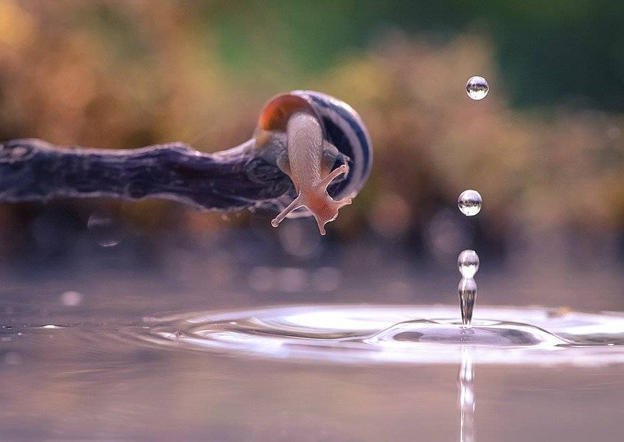 , Вячеслав Мищенко