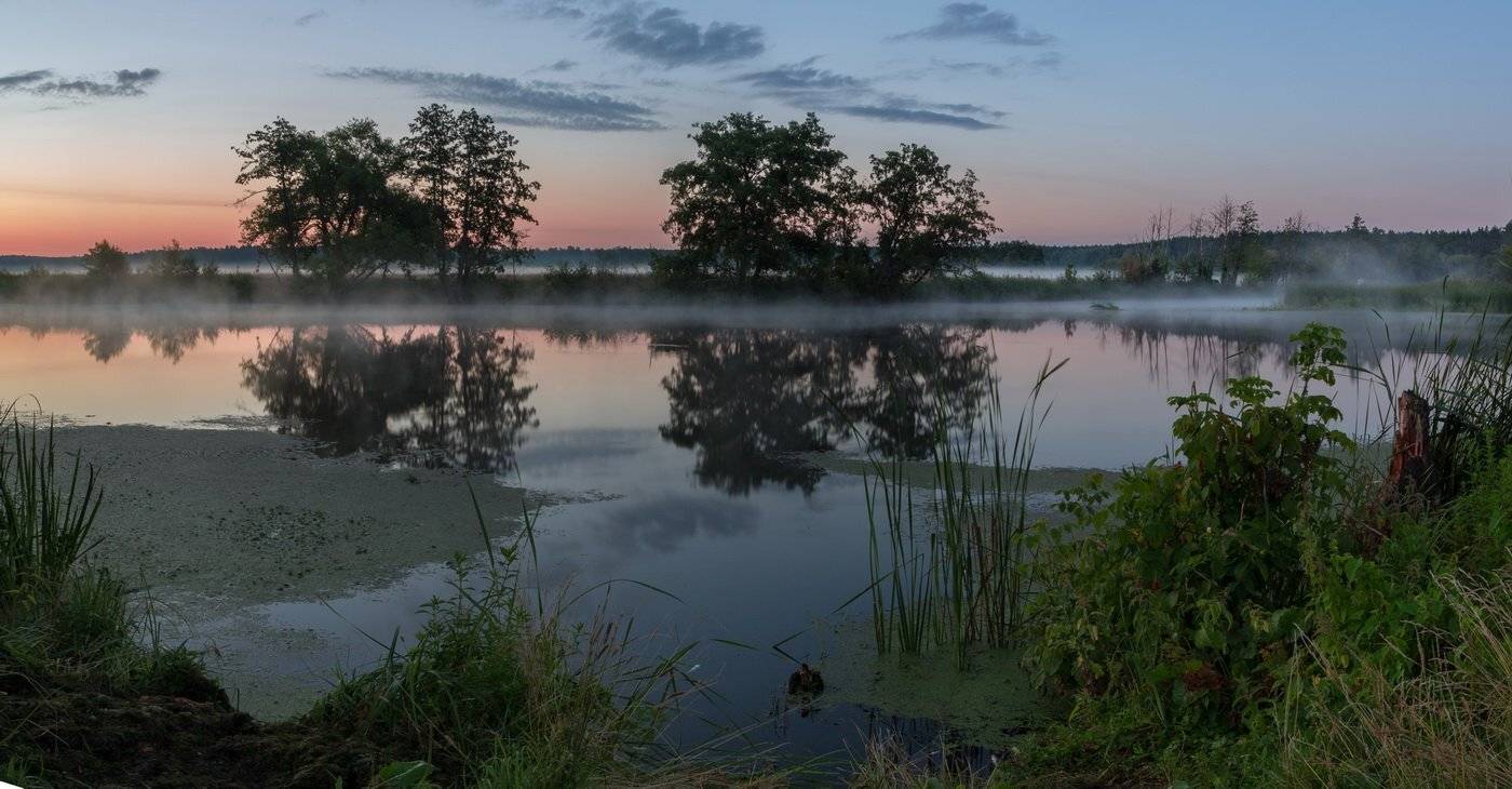 , Александр Бредихин