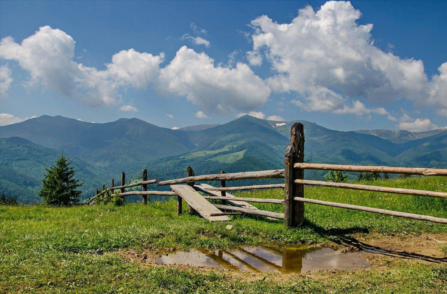 , Валерий Наумов