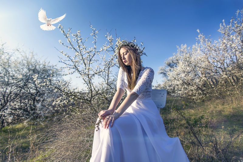 Spring фото превью